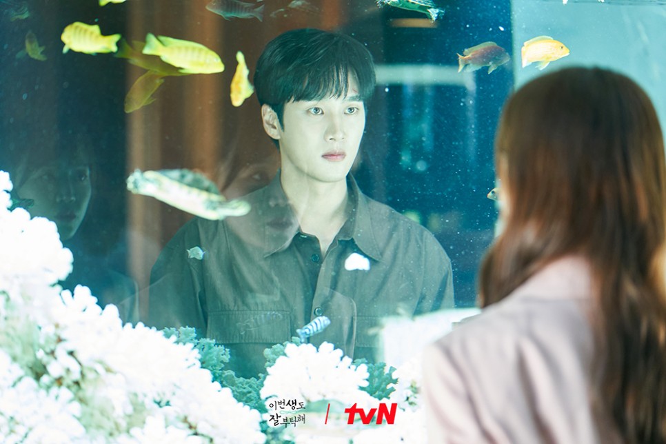 드라마 이번 생도 잘 부탁해
