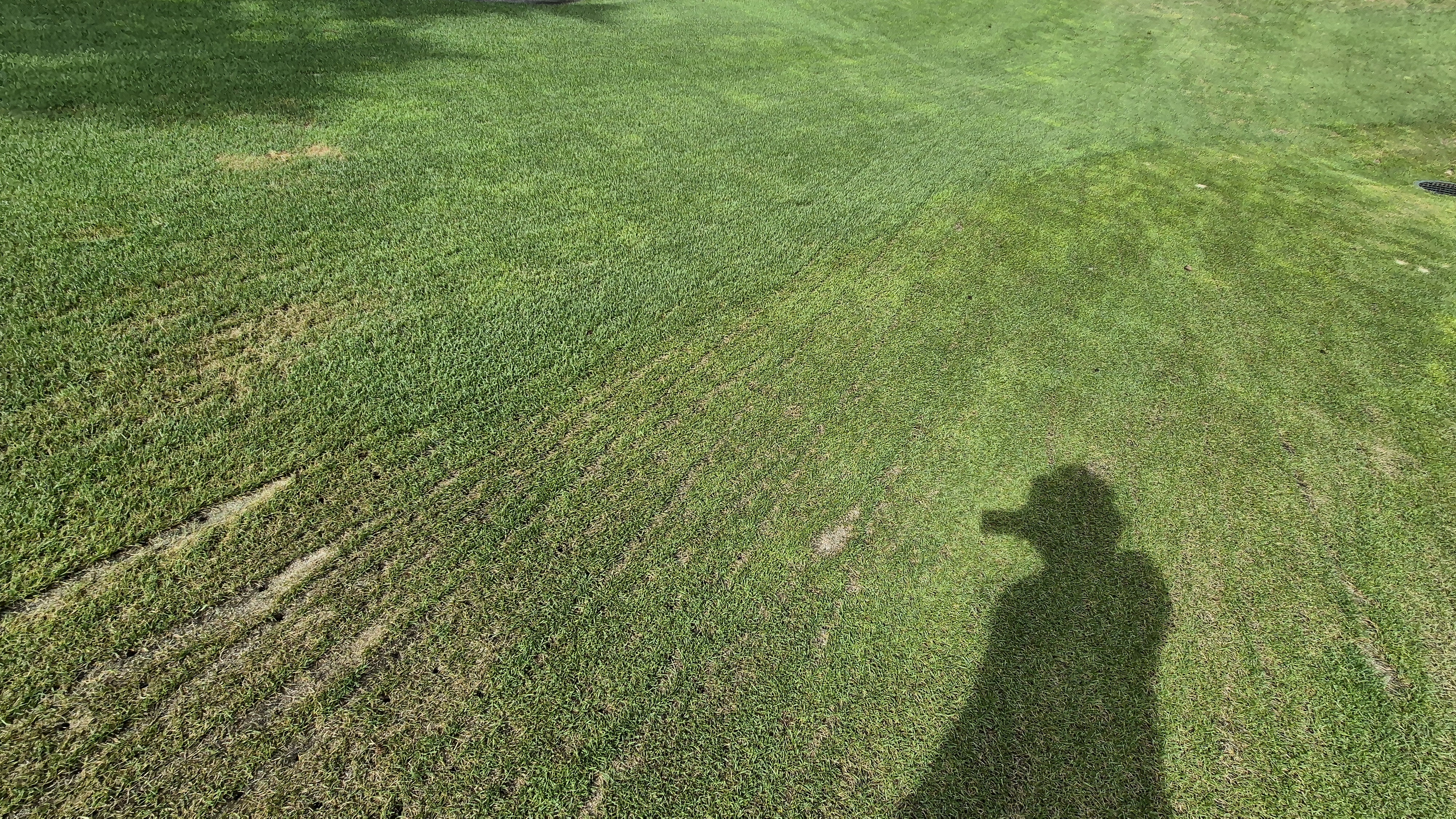 센테리움cc 스코틀랜드-웨일즈 코스 라운드 후기