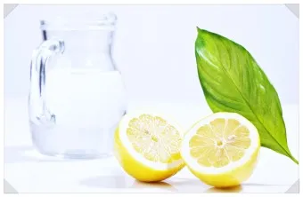 레몬디톡스 효과 부작용_7
