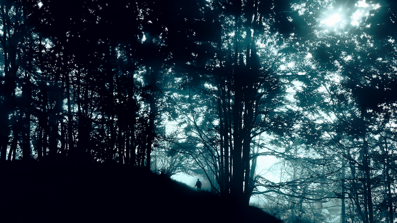 산속 자연인 실루엣 관련 사진