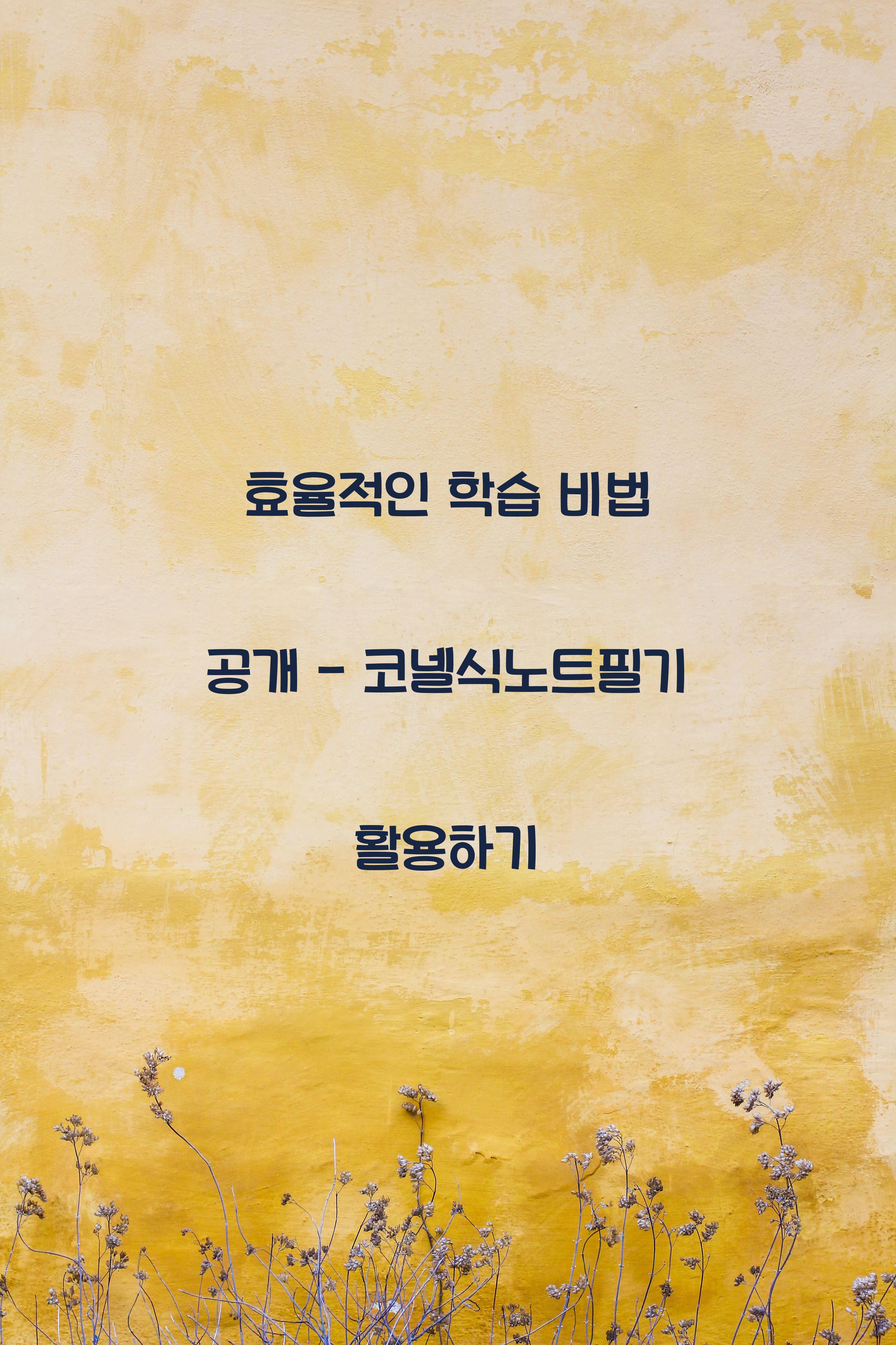 코넬식노트필기