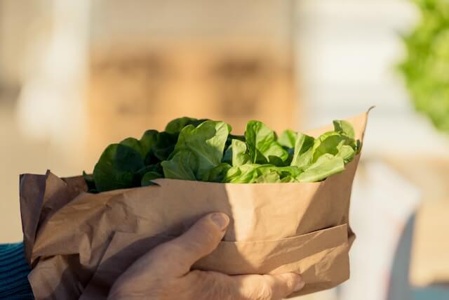 2025 상생페이백 신청방법