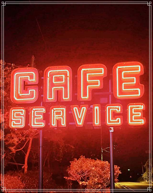 생생정보 마당 경기 파주 포토존 핫스팟 라이더 카페 크로플 맛집