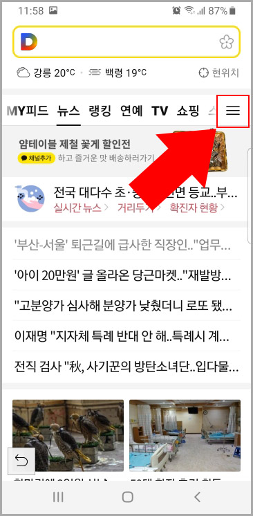 다음 글씨 크기