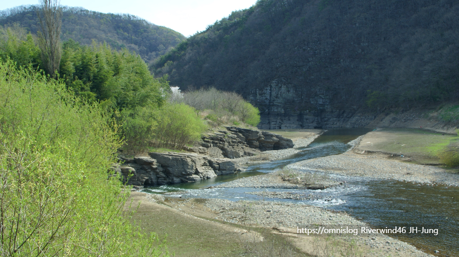 솔밭사이로 강물은 흐르고 The River in the Pines
