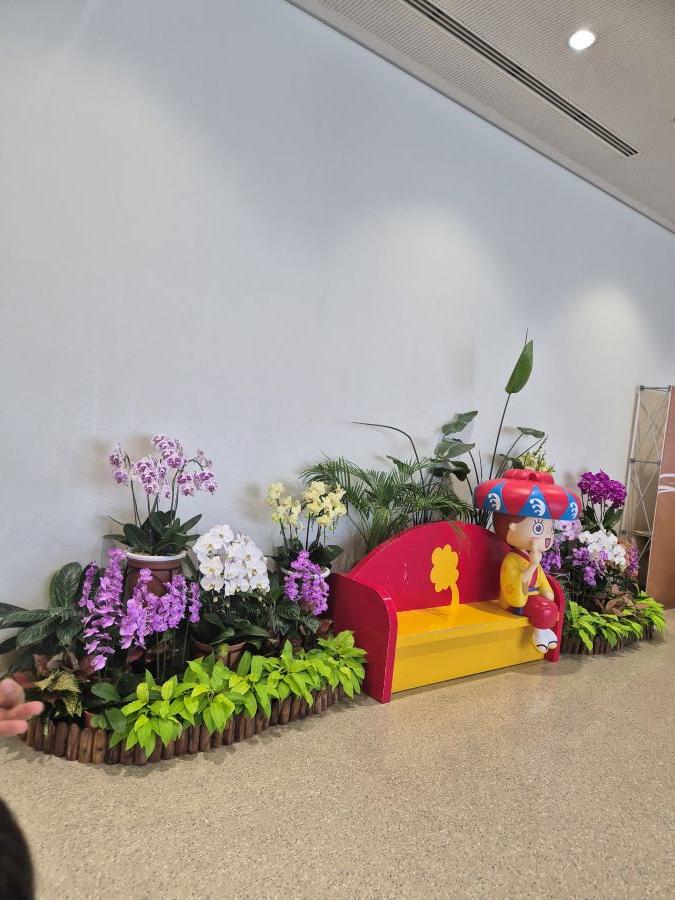 일본지진-오키나와-현지-분위기