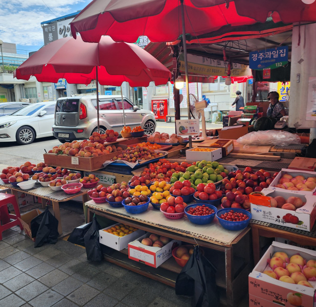 6시 내고향 울산 울주 언양알프스시장 정보