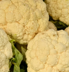 콜리플라워 효능 성분 먹는방법 부작용 고르는법