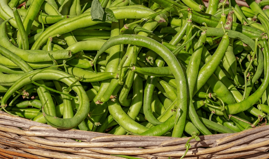 장 건강에 좋은 음식과 관련 된 사진 - 18