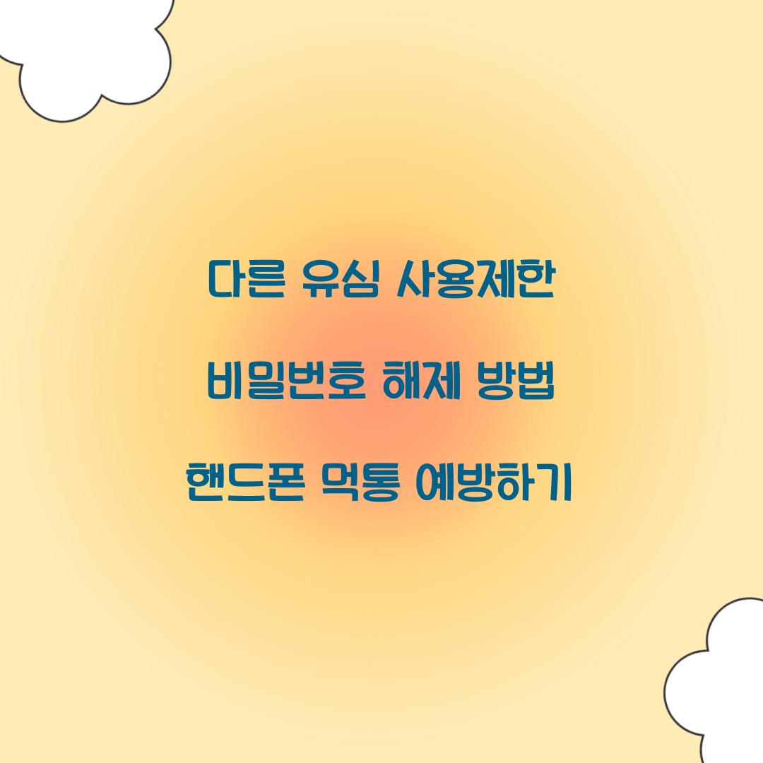 다른 유심 사용제한 비밀번호