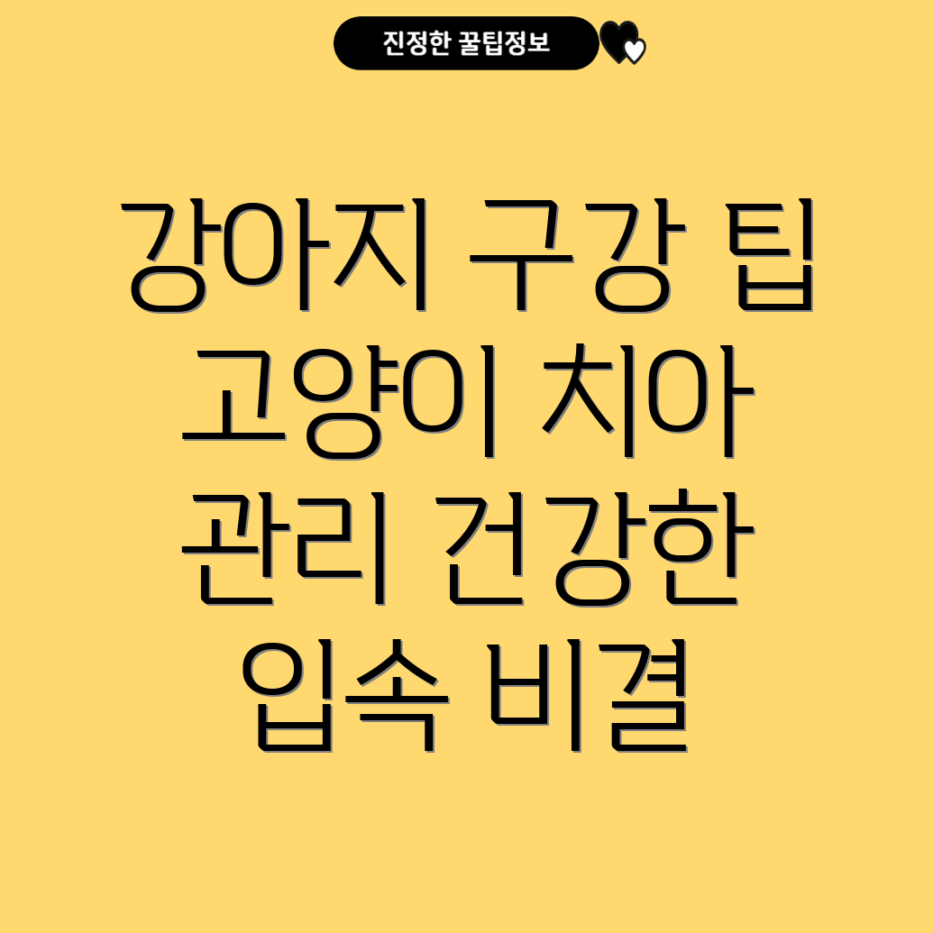 구강 건강 관리