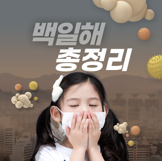 백일해 총정리 이미지