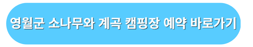 영월군 소나무와 계곡 캠핑장 예약 바로가기