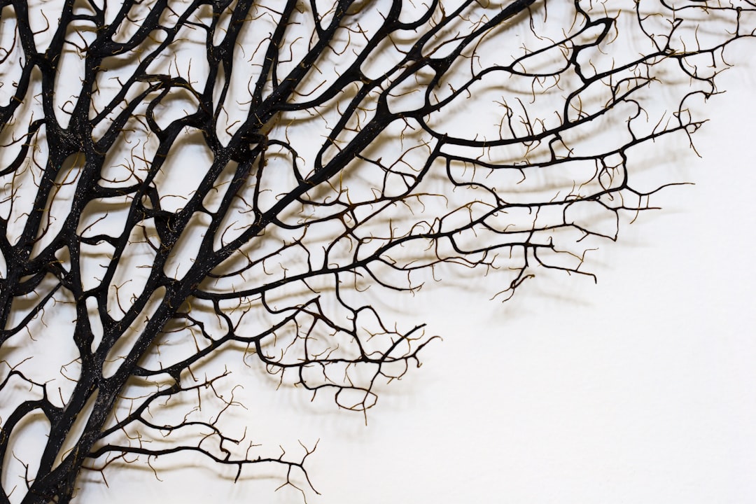 Branch