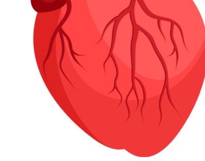 케일 효능