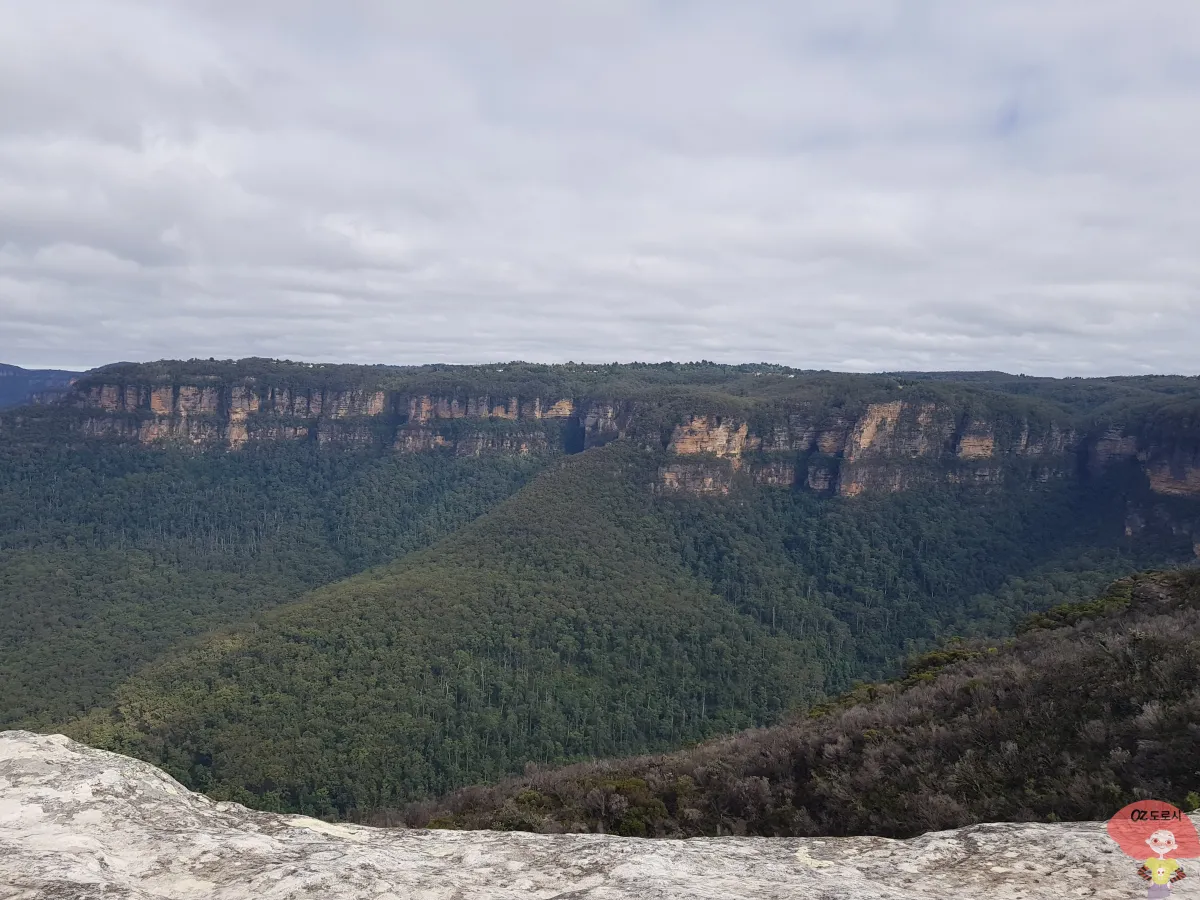 호주-시드니-근교여행-블루마운틴-국립공원
