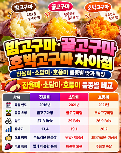 밤고구마&middot;꿀고구마&middot;호박고구마 차이점 진율미&middot;소담미&middot;호풍미 품종별 맛과 특징
