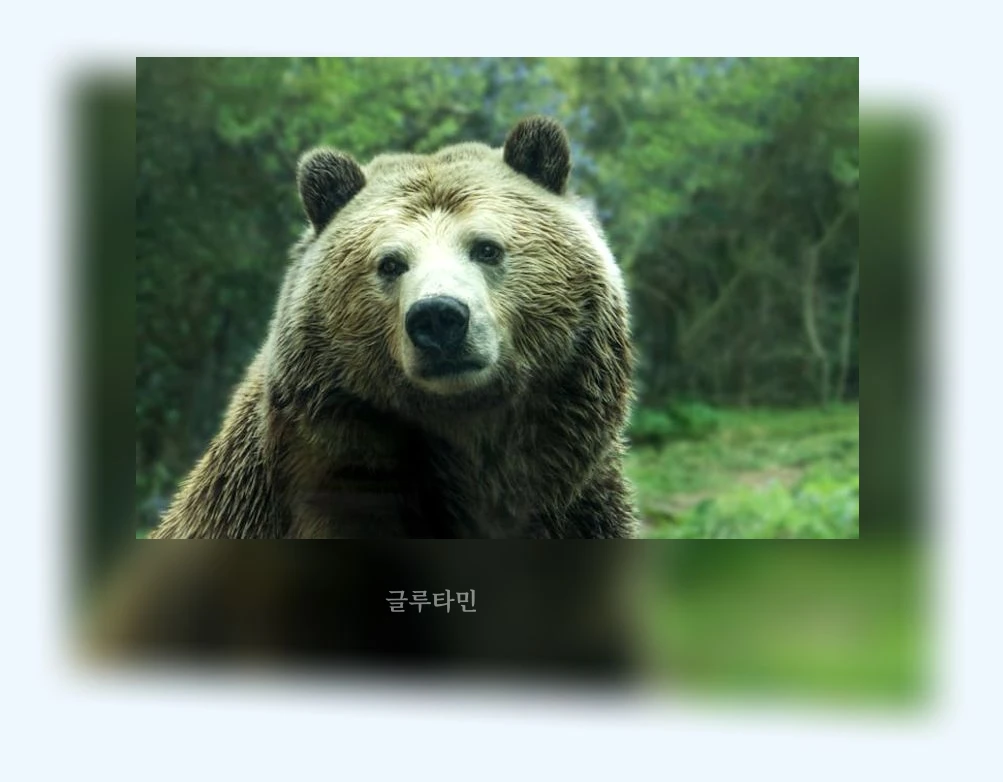 동물 교감 체험_2_subsection
