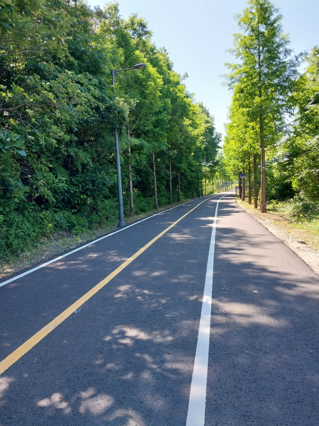서울 근교 누구나 자전거와 걷기에 좋은 길