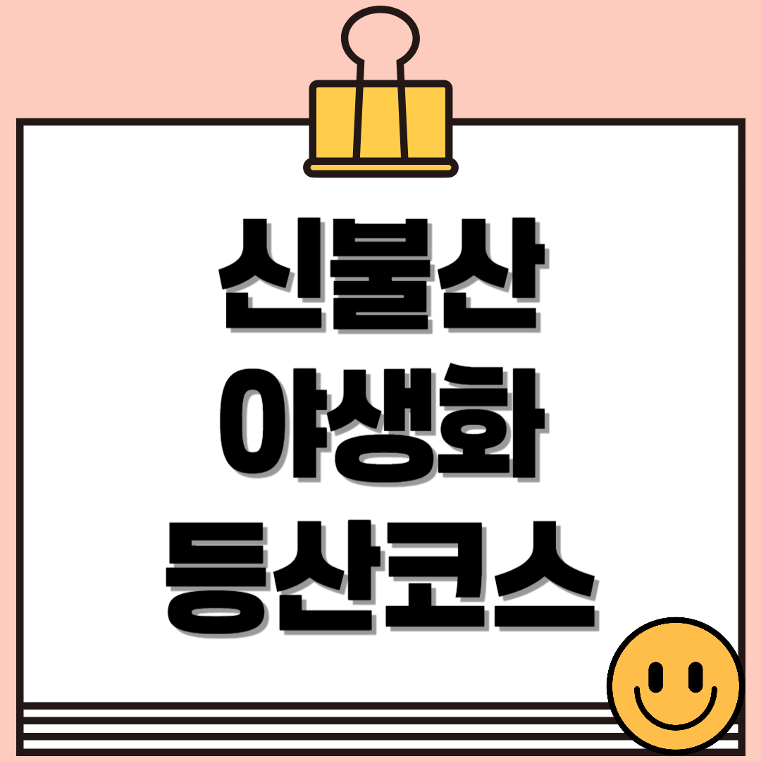 영남알프스의 봄, 신불산 야생화 등산코스 총정리 🌸