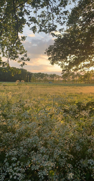 스마트폰 배경화면 잠금화면 자연 풍경 무료 다운로드