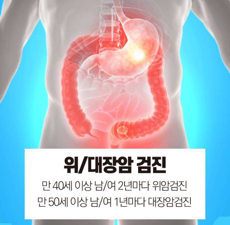 국민 건강 검진 총정리