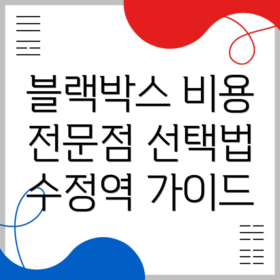 블랙박스 설치