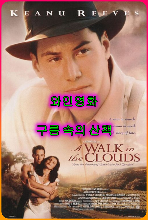 와인영화<구름속의산책>사랑과와인,새로운_시작