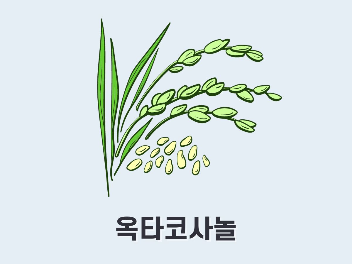 옥타코사놀
