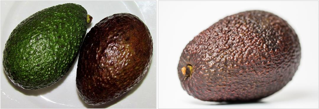 아보카도-후숙된-사진