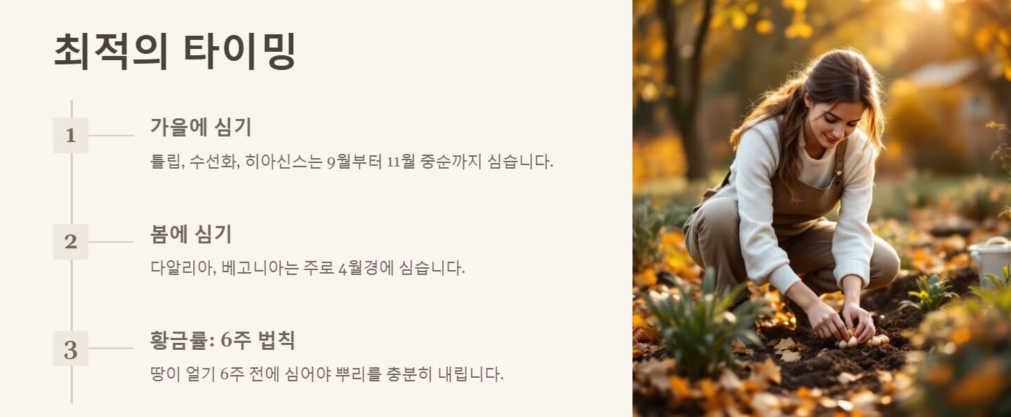 구근 심는 시기 및 방법