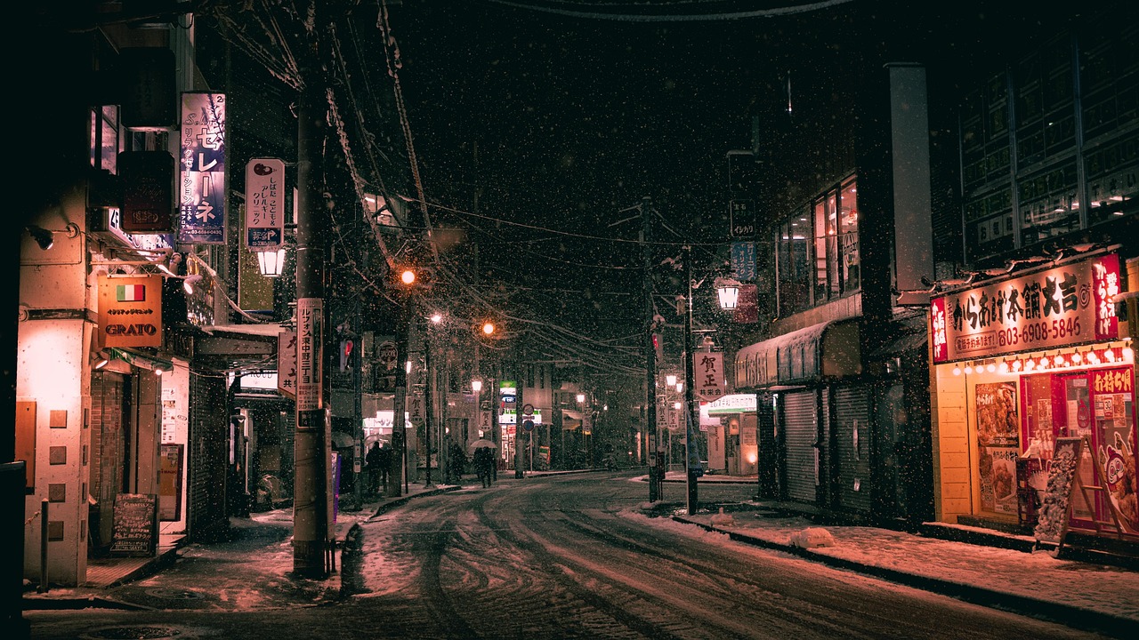 도쿄 당일치기 닛코 관련 사진