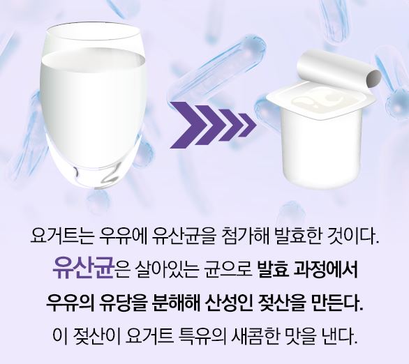 요거트