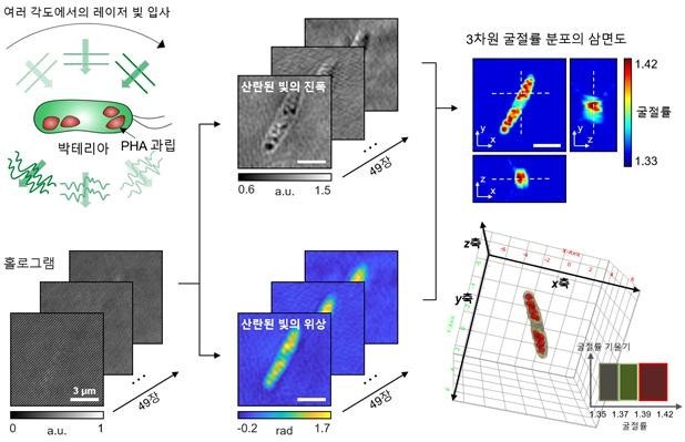 미생물에서 플라스틱을 뽑을 수 있다면