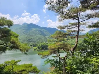 괴산 가볼만한곳 베스트10 현지인 추천 필수코스_17