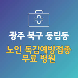 광주 북구 동림동 노인 독감예방접종 무료 병원 (인플루엔자 무료 접종 대상 날짜)