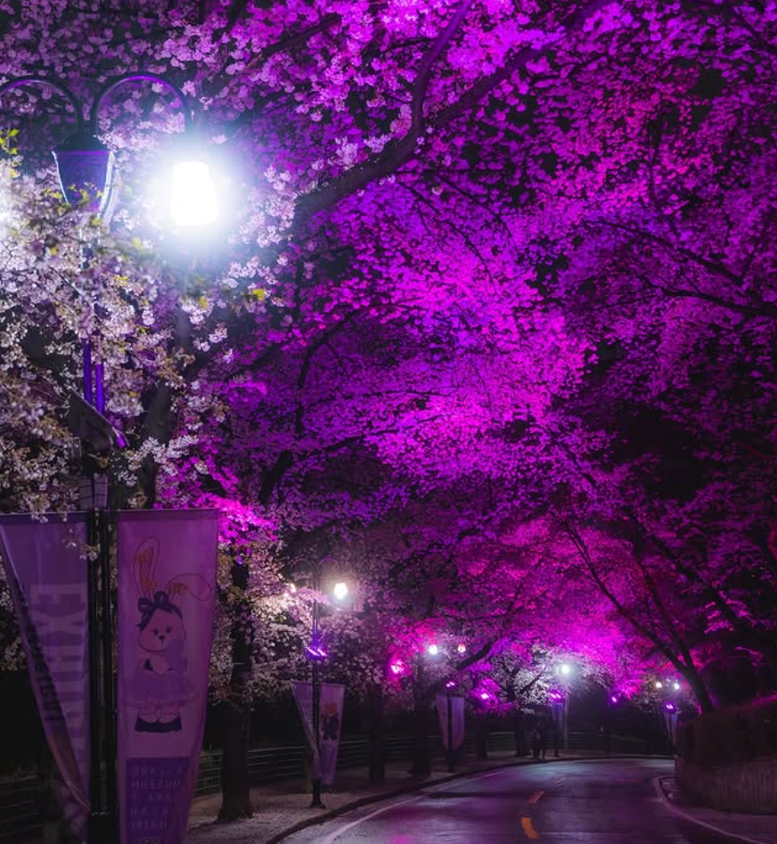 대구 이월드 자유이용권 할인