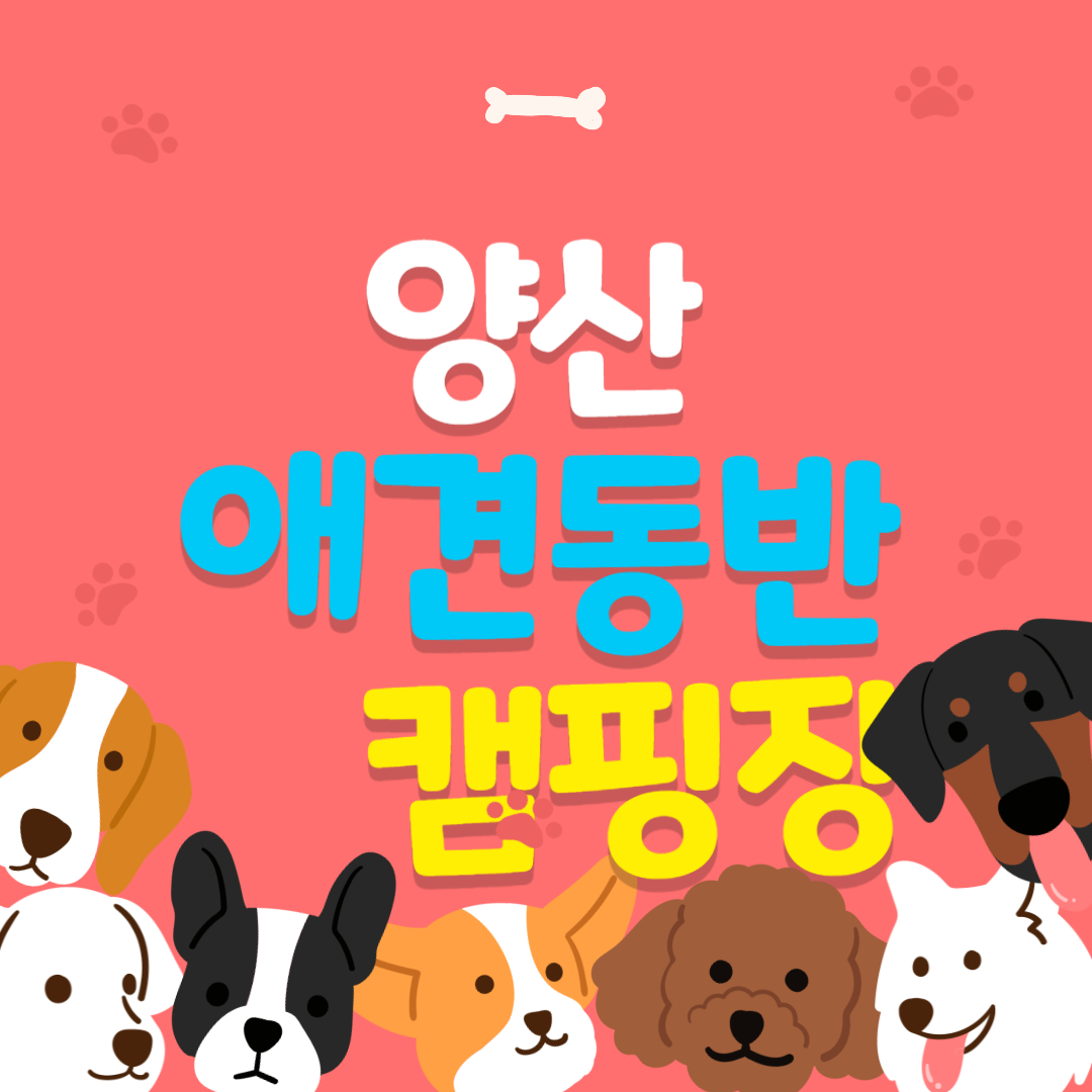 양산 애견동반 캠핑장