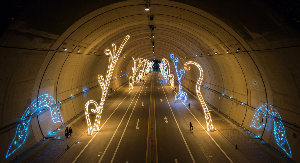 봄날 밀양 나들이 명소 5곳 영남루 장미공원 명례생태공원 트윈터널