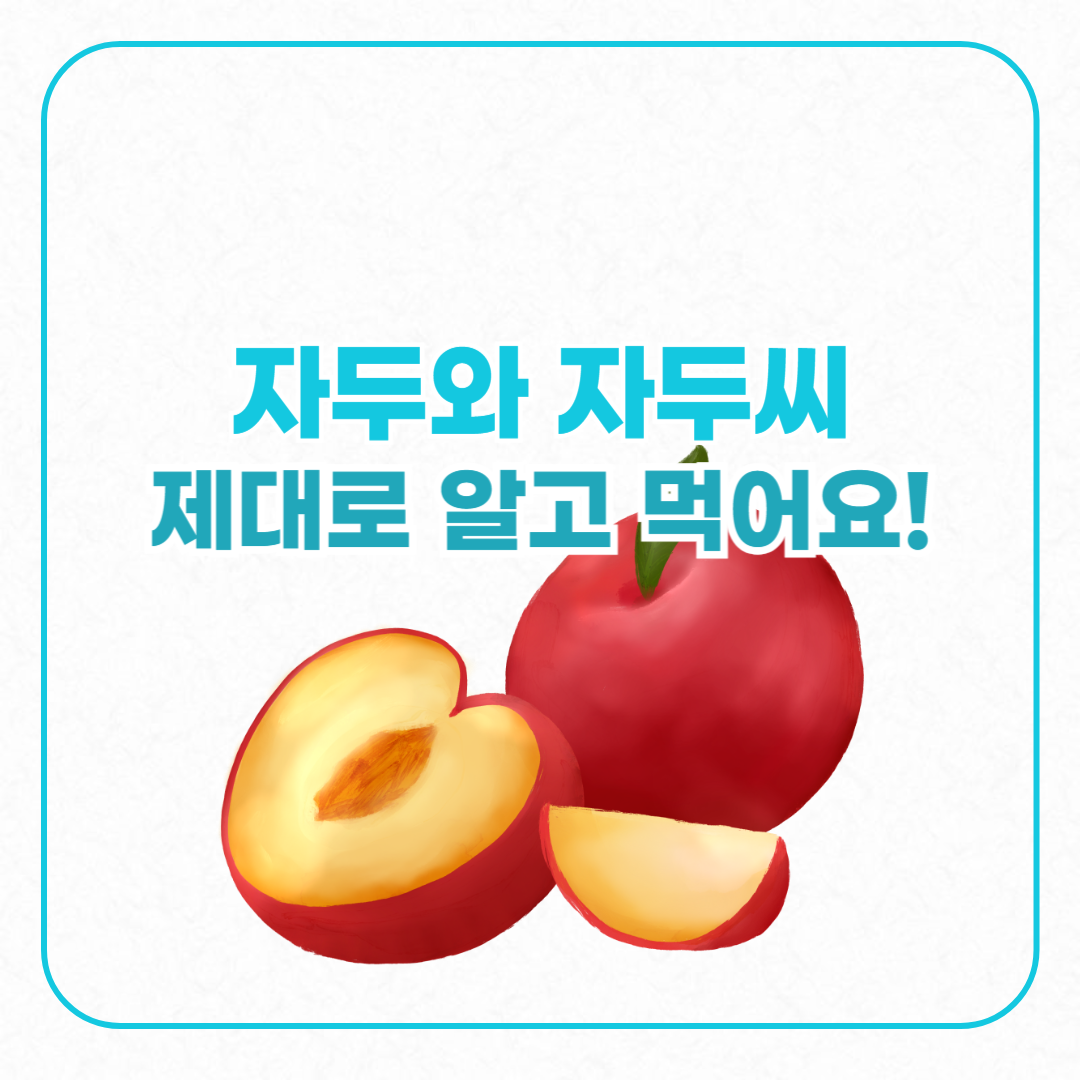 자두와 자두씨 제대로 알고먹어요
