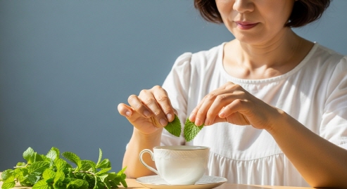 직접 딴 민트 잎을 찻잔에 담는 중년 여성