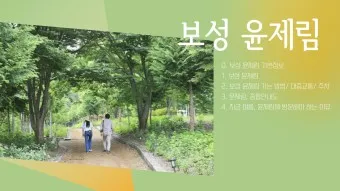 보성 가볼만한곳 베스트10 현지인 추천 필수코스_8