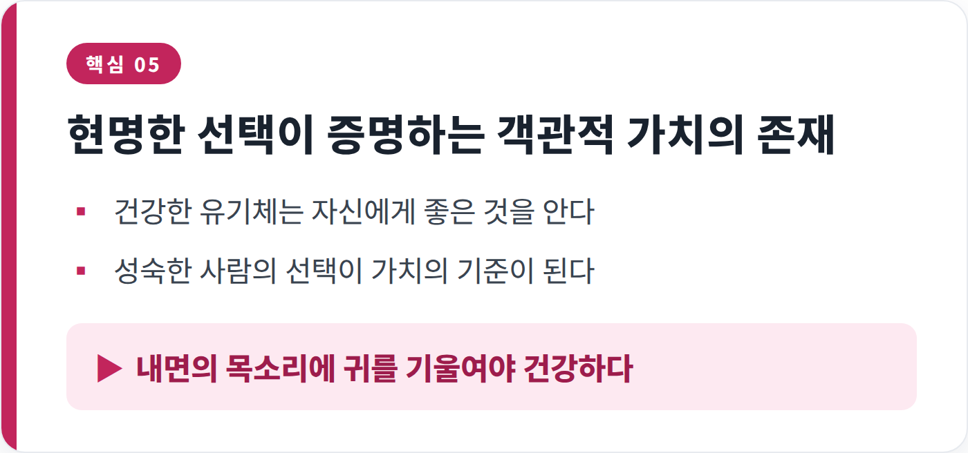 요약카드