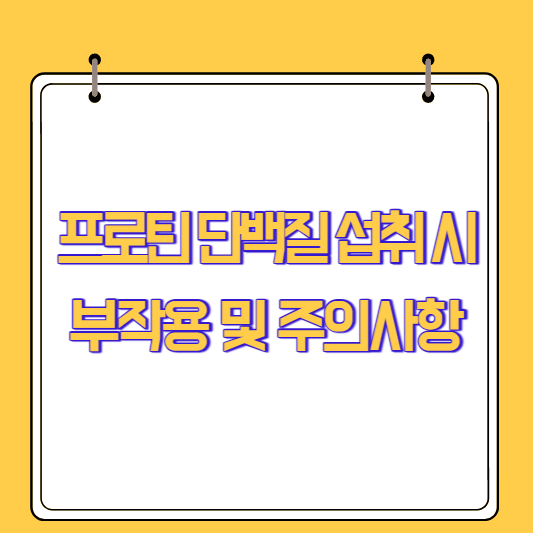 프로틴 단백질 섭취 시 부작용 및 주의사항