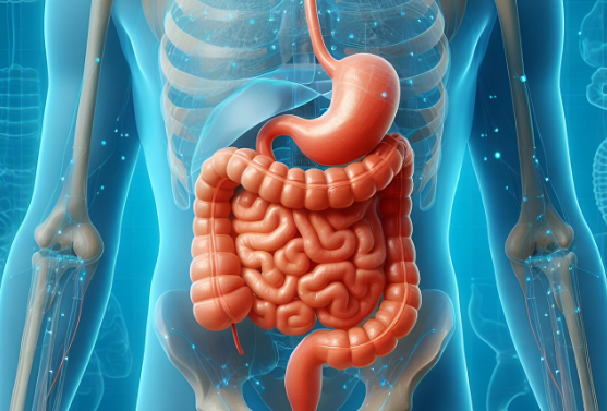 소화 건강 관리 팁 이미지