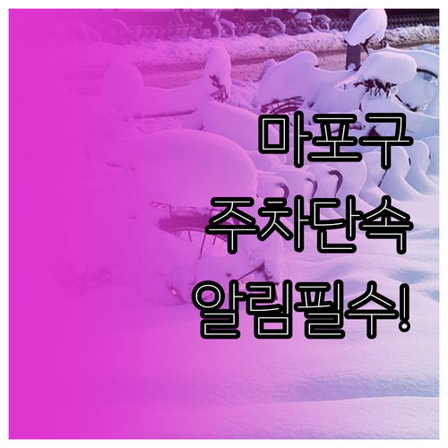 마포구 불법 주정차 문자 알림 신청 ..