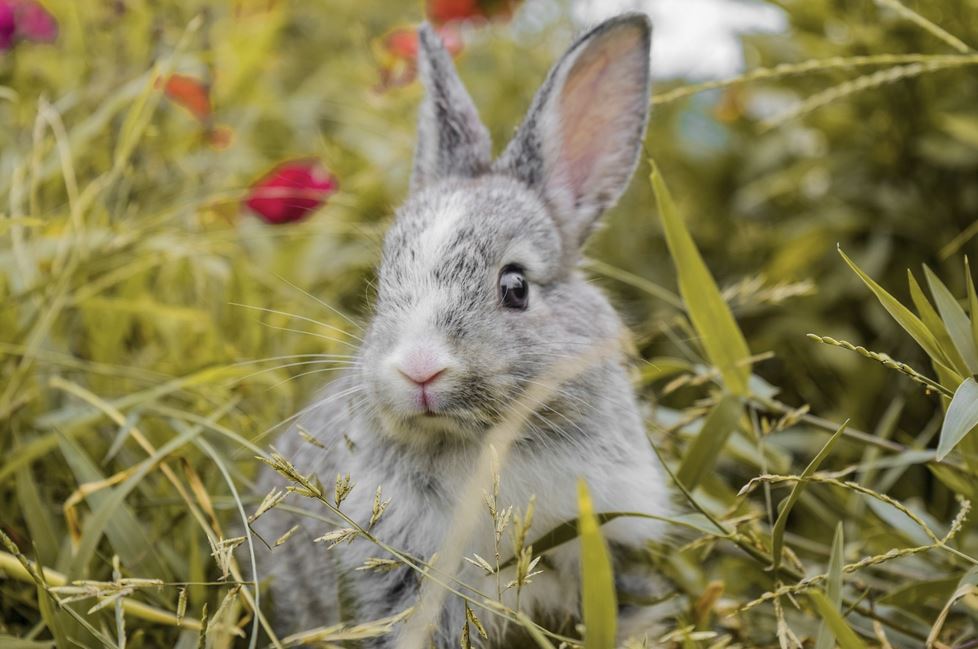 2026년 띠별 건강운 총정리