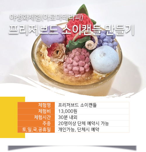 프리저브드 소이캔들 