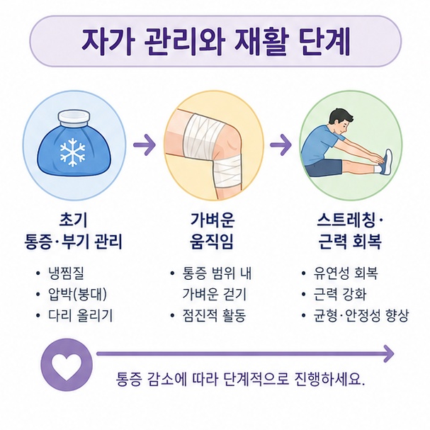 햄스트링 부상 초기 냉찜질과 압박 후 가벼운 움직임, 스트레칭, 근력 회복으로 이어지는 치료 과정을 설명한 이미지