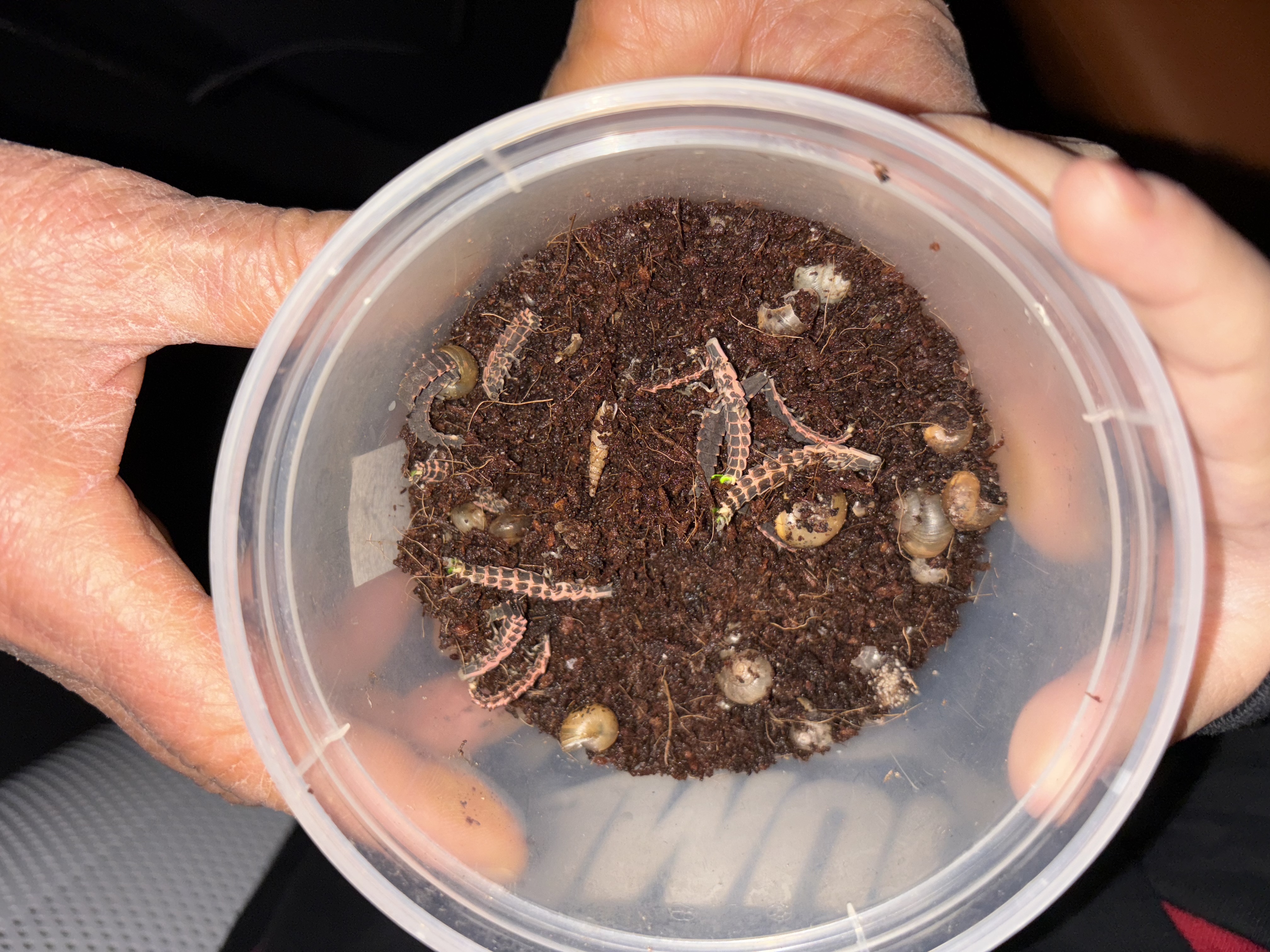 전주자연생태관